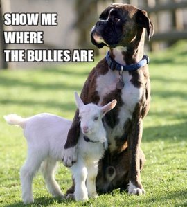 Show-Me-Where-The-Bullies-Are